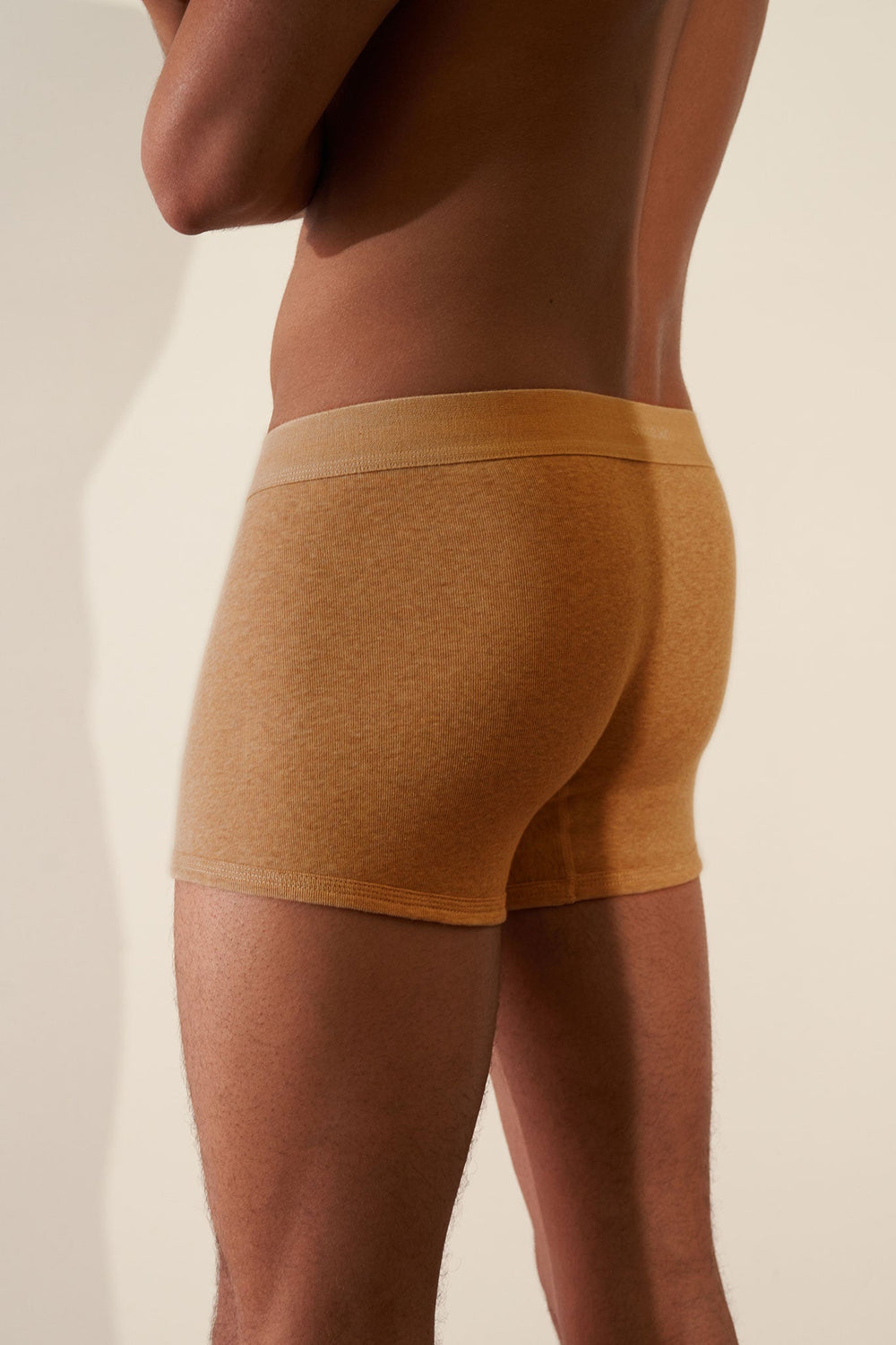 Boxer Brief in Organic Cotton Rib - Camel